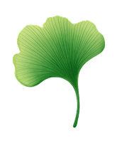 Gingko leaf logo